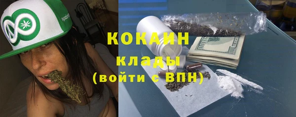 шишки Ростов