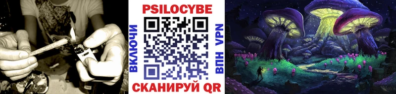 Галлюциногенные грибы Psilocybine cubensis  Гусь-Хрустальный 
