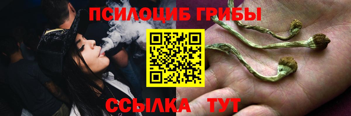 Псилоцибиновые грибы мицелий  Галлюциногенные грибы GOLDEN TEACHER  Вход с VPN  Гусь-Хрустальный 